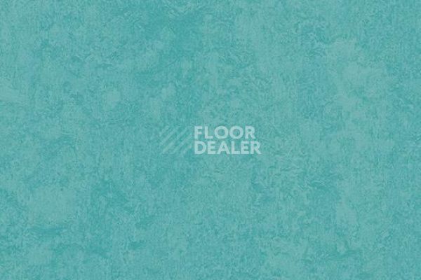 Линолеум Marmoleum Decibel on Order 326935 turquoise фото 1 | FLOORDEALER